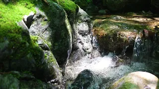 ASMR-Travel to Nature (8)- Relax & relieve stress -smooth & clear water