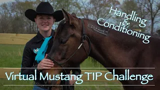 Equine Affaire Virtual TIP Challenge – Handling & Conditioning