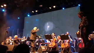 Akira Yamaoka - Theme of Laura (Reprise) (Live at Moscow 2018)