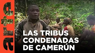 Camerún: La tierra verde (2018) | ARTE.tv Documentales