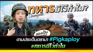 ตามประเด็นดราม่า #Pigkaploy #ทหารมีไว้ทำไม