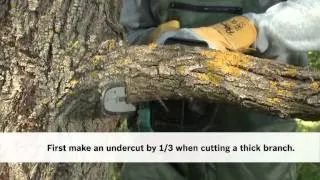 How To: Bosch AKE 30 LI Chainsaw