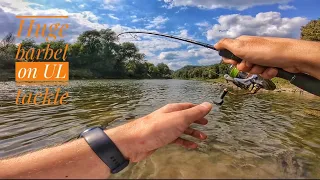 Big barbel on UL tackle