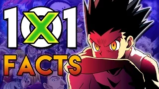 101 Hunter X Hunter Facts That You Probably Didn't Know! (101 Facts) | HXH