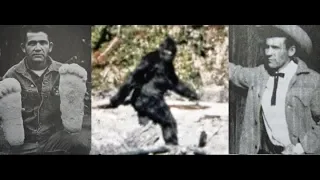 Sasquatch, Follow Up, The Largest Lie Taken To Graves