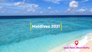 Coco Palm Dhuni Kolhu (Maldives 2021) - Island Tour