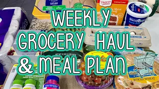 GROCERY HAUL | Meal Plan | Albertsons Haul