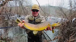 Trout Fishing For Big December Browns In Small PA Streams #mepps #streamer #fishing