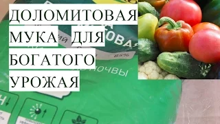 Доломитовая  Мука для Богатого Урожая. Работает! Проверено!