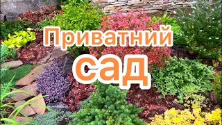 ПРИВАТНИЙ САД. МОЄ ТВОРІННЯ. 🧡🌿