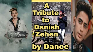 Tritube to Danish Zehen by Dance || JessDancer