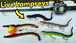 LIVE LAMPREYS vs. SNAKE LURES FISHING CHALLENGE