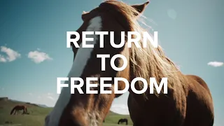 Return to Freedom | These wild animals depend on your contributions today!