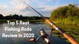 Top 5 Best Fishing Rods Review in 2020