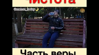 Чистота часть веры