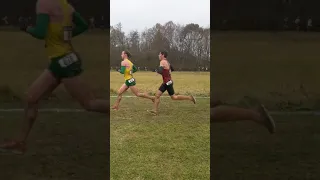 NCAA Men's Cross Country Nationals D1 2019