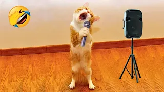 Try Not To Laugh 😅 New Funniest Cats and Dogs 2023 😹🐶 Part 16