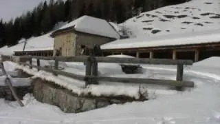 Escursione alla Casera Monte dei Buoi - SentieriNatura - Documentari invernali 2010 - 07