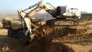 Liebherr R9100 Backhoe Loads 100 Ton Dumper