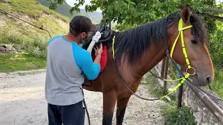 Горная лошадь / Мое хобби / Конь в горах Дагестана / Сархан