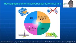 Лечить как всех – или по-другому? Взгляд молекулярного генетика на лечение рецидивов рака яичников