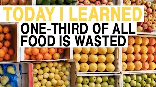 TIL: We Waste One-Third of Food Worldwide | Today I Learned