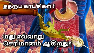 Digestion of alcohol is not like other food in Tamil | How Alcohol Changes Your Body | Hangover