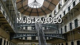 Musikvideo - I'm an Albatraoz || Avakin Life