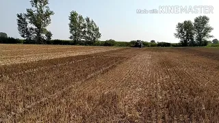 Fendt 930 & Horsch Pronto 6 DC - zelena gnojidba 2020.