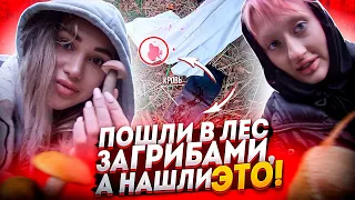 Пошли в лес за грибами, а нашли «ЭТО»!😳 Лесной VLOG с Дашей Друже