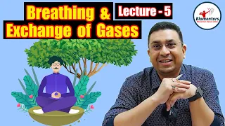 Breathing & exchange of gases l Lecture 5 l Biology l NEET