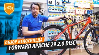 Горный велосипед Forward Apache 29 2.0 Disc. Обзор велосипеда