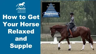 Is your horse relaxed and supple?