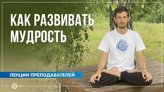 Как развивать мудрость. Олег Васильев