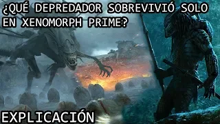 ¿Qué Depredador Sobrevivió solo en Xenomorph Prime? EXPLICACIÓN | El Depredador Hive Wars EXPLICADO