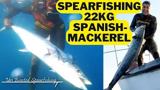 אורי בינסטד דייג בצלילה חופשית פלמידה 22 קג! - Spearfishing Spanish Mackerel Uri Binsted