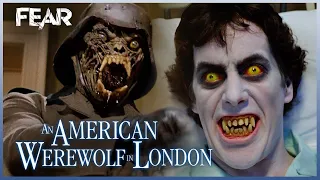 David's Disturbing Dreams | An American Werewolf In London (1981)