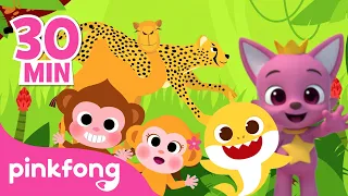 Monkey Banana and other Animal Songs! | Compilation | Rhymes for Kids | Pinkfong & Baby Shark