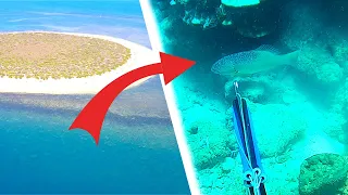 ISLAND SPEARFISHING Remote reefs | Exmouth, WA