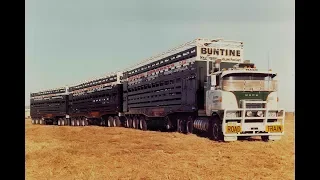 HANK MARVIN Roadtrain