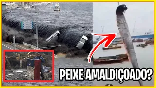 PEIXE É ENCONTRADO E DEIXA MORADORES DO CHILE COM MEDO DA SUA PROFECIA PAÍS TODO EM ESTADO DE ALERTA