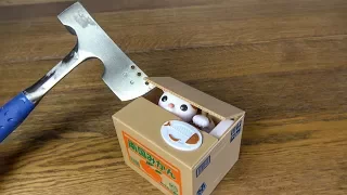 What's inside a Cat Coin Bank?