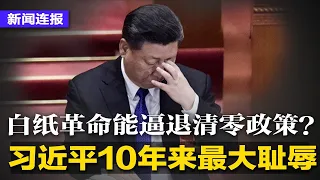 习近平10年来最大耻辱，赌上政治生涯清零政策，真能被白纸革命逼退？乌鲁木齐急喊开放航班，高风险区解封条件曝光！张核子、张珊珊有何关系？丨新闻连报(20221129)