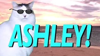 HAPPY BIRTHDAY ASHLEY! - EPIC CAT Happy Birthday Song