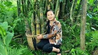 Harvest giant bamboo shoots and bring them to the market to sell | trieu thi mui