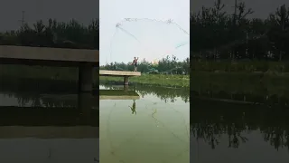 Amazing Big Cast Net Fishing Traditional Net Catch Fishing in The River 20