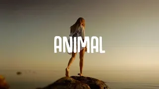 Vicetone - Animal (Lyrics) ft. Jordan Powers & Bekah Novi