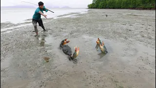 Lucky Day - Catch A Lot Of Huge Mud Crabs In Mud Beach after Water Low Tide