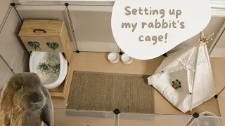 How to set up your rabbit's cage!