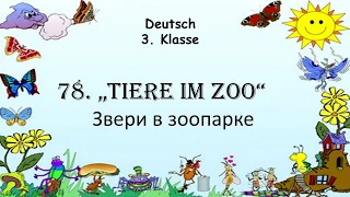 78. Tiere im Zoo